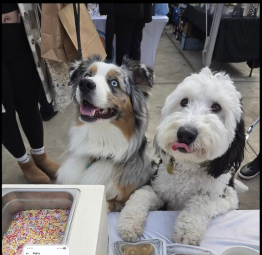 Barkday Treats booth at a dog-friendly market with Paw’nolis and Pumpkin Spice Cookies on display