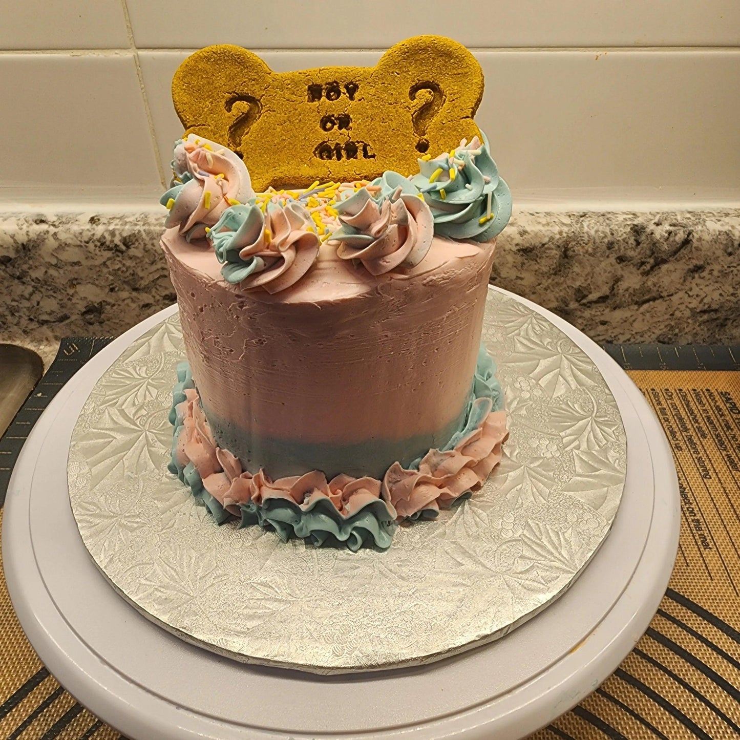 Gender Reveal Dog Cakes 🩷💙🐾