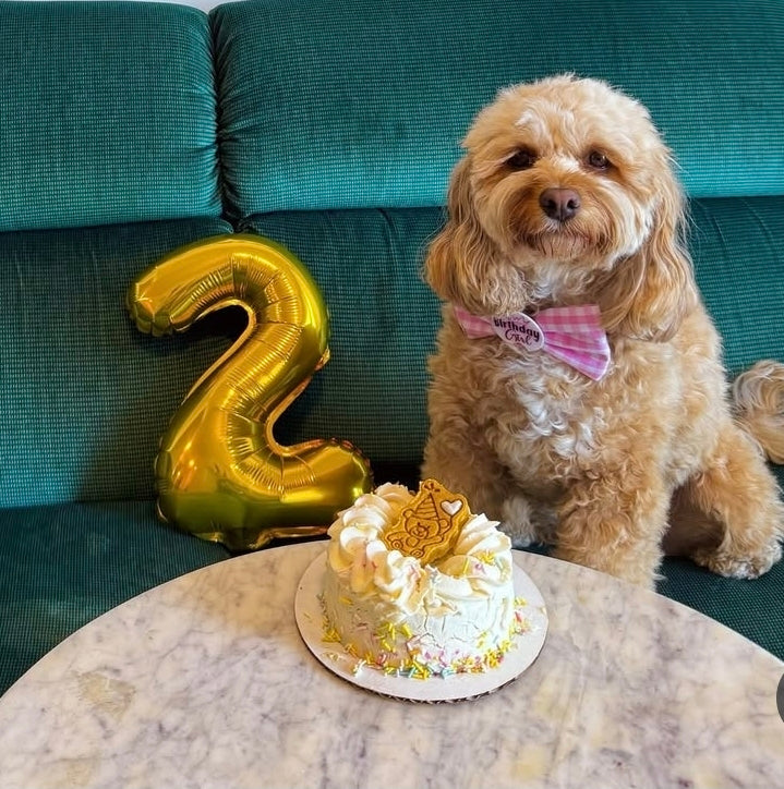 Celebration Cakes
