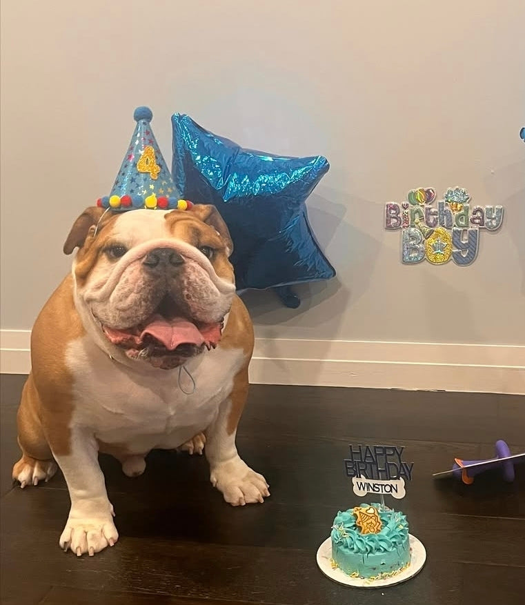 Celebration Cakes