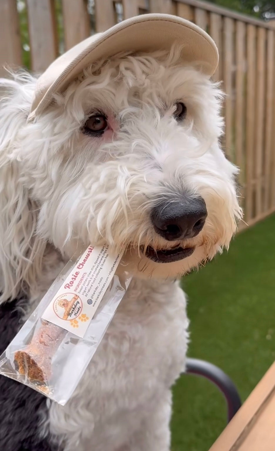 Rosie's Chew Sticks