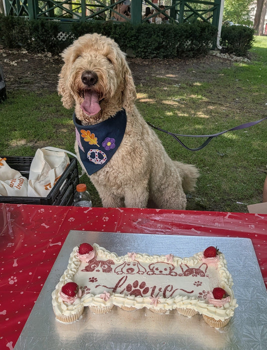 Rosie and her birthday cake