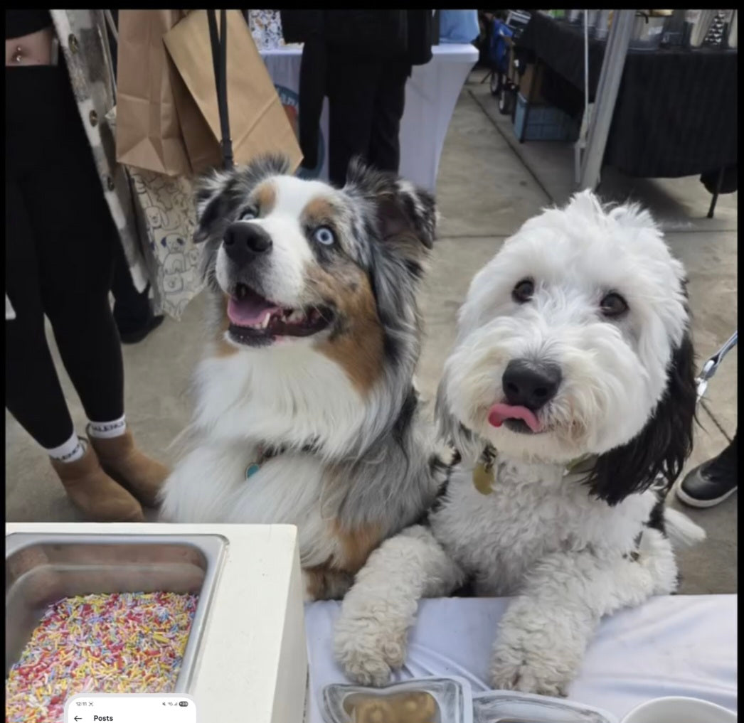 Barkday Treats booth at a dog-friendly market with Paw’nolis and Pumpkin Spice Cookies on display