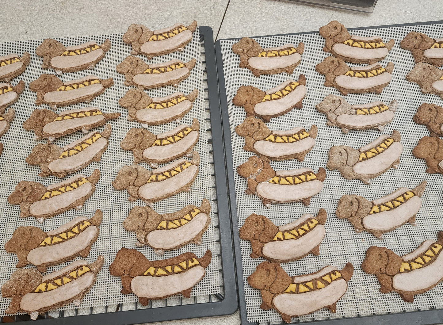 Custom Dog Cookies 🐾