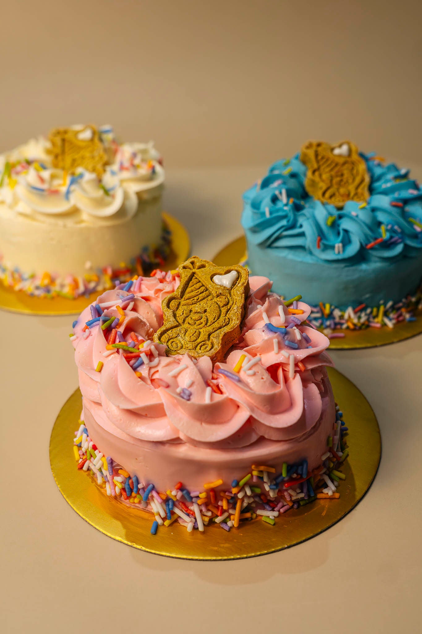 Dog Cakes for Every Occasion