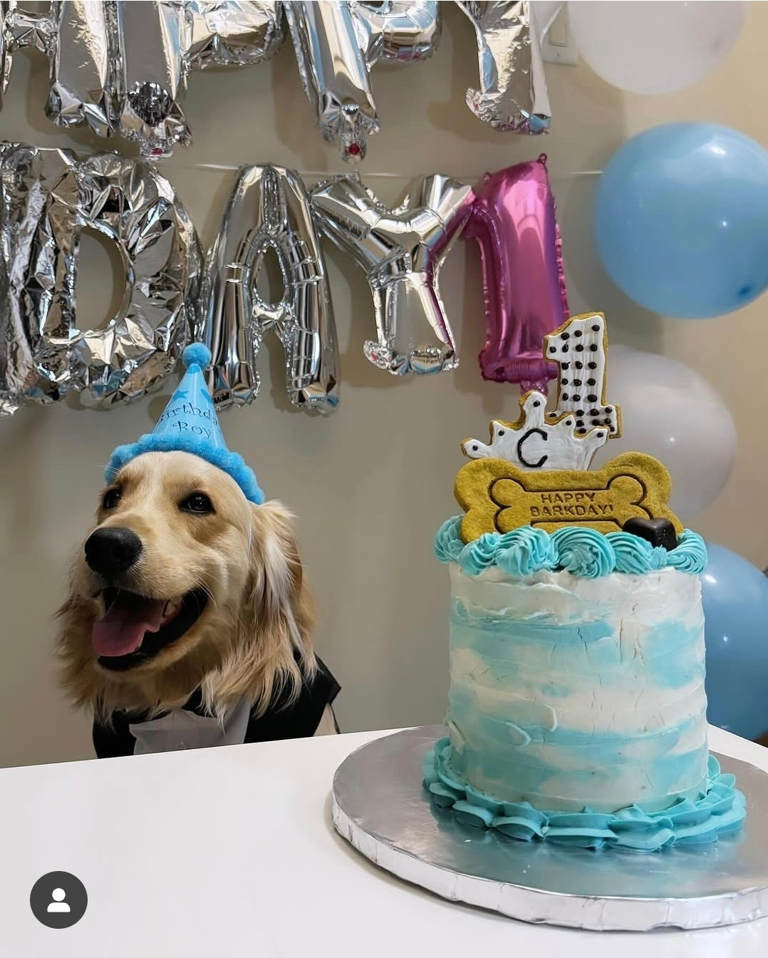 Custom Cakes – Barkday Treats - Main Image