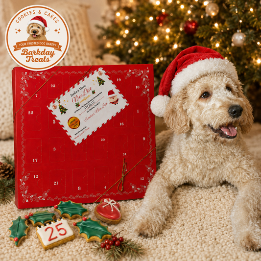 Barkday Treats 2026 Dog Advent Calendar with Rosie wearing a Santa hat, festive dog cookies and Christmas tree.