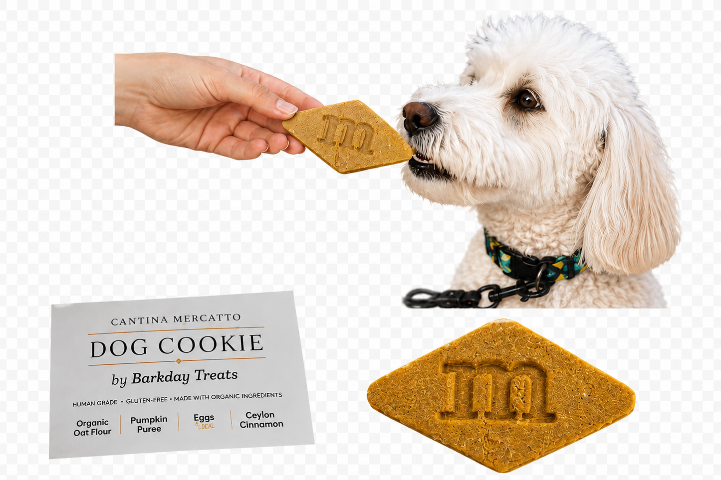 Custom Dog Cookies 🐾