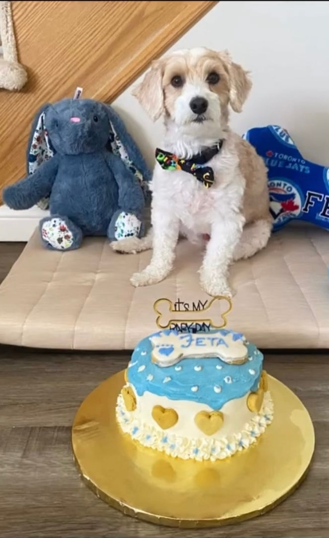 Custom Cakes