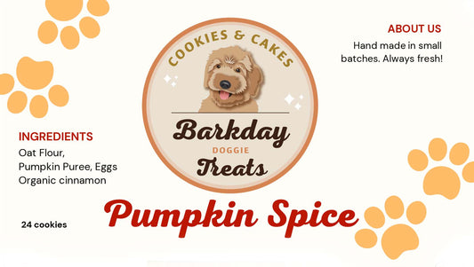 Pumpkin Spice Dog Cookies