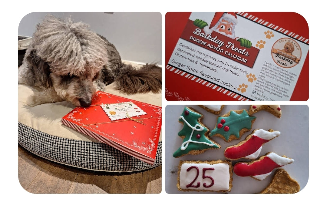 Dog Advent Calendar 2026