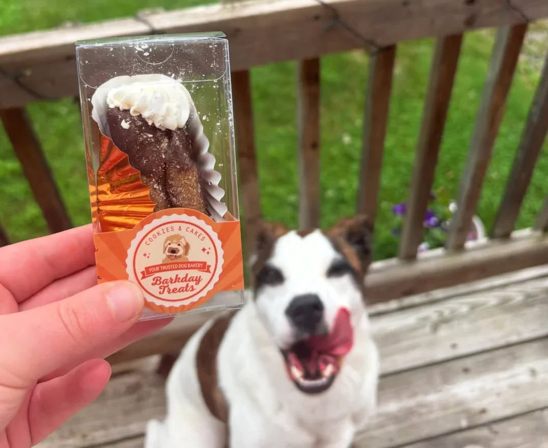Paw’Noli Dog Treats 🐾