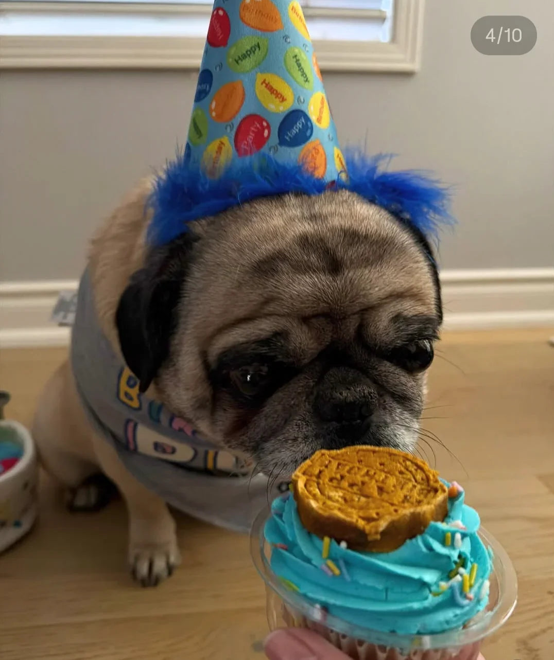 Pupcakes for Dogs 🧁🐾