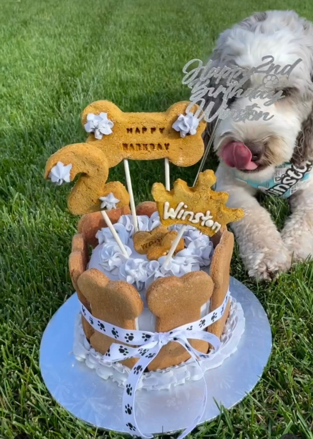 Custom Cakes