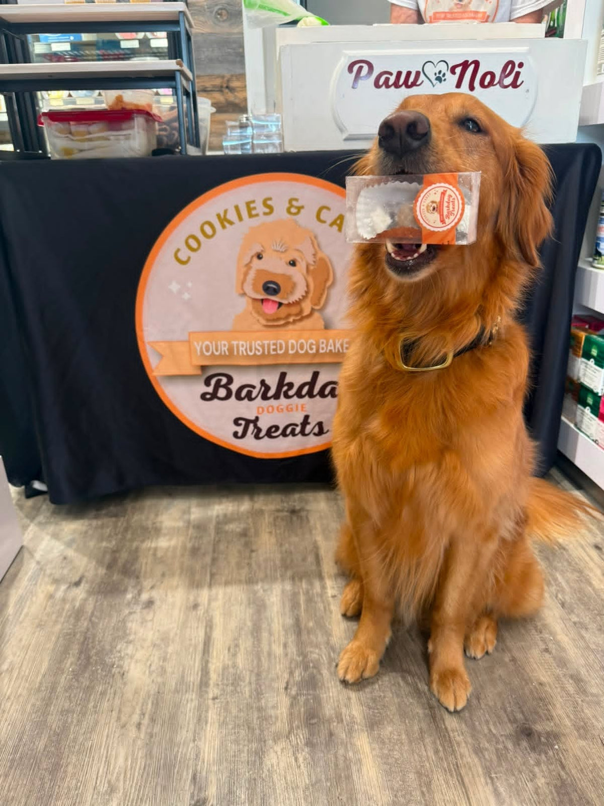 Paw’Noli Dog Treats 🐾
